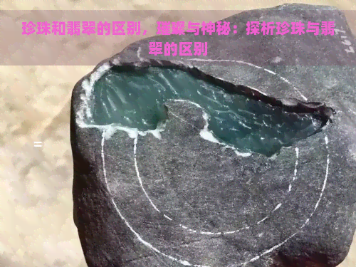 珍珠和翡翠的区别，璀璨与神秘：探析珍珠与翡翠的区别