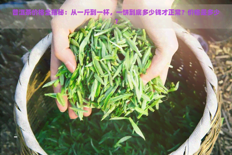 普洱茶价格全揭秘：从一斤到一杯，一饼到底多少钱才正常？价格是多少？