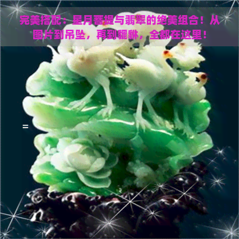 完美搭配：星月菩提与翡翠的绝美组合！从图片到吊坠，再到貔貅，全都在这里！