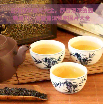 普洱茶字图片大全，欣普洱茶的独特魅力：海量普洱茶字图片大全