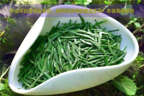 什么样的普洱生茶好，如何挑选好的普洱生茶？关键要素解析