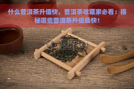 什么普洱茶升值快，普洱茶收藏家必看：揭秘哪些普洱茶升值最快！