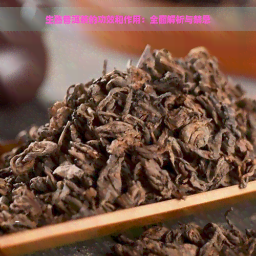 生熟普洱茶的功效和作用：全面解析与禁忌