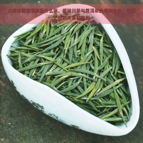 川茶仿冒普洱茶是什么茶，揭秘川茶与普洱茶的相似之处：它们之间的关系和区别