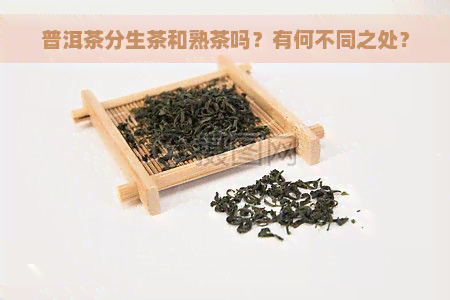 普洱茶分生茶和熟茶吗？有何不同之处？