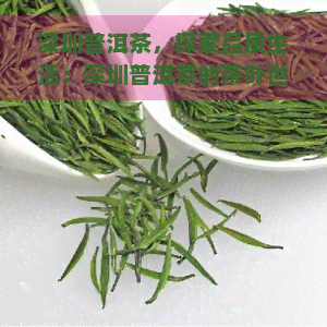 深圳普洱茶，探索品质生活：深圳普洱茶的茶叶世界