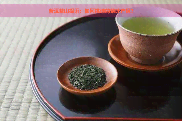 普洱茶山探索：如何挑选的茶叶产区？