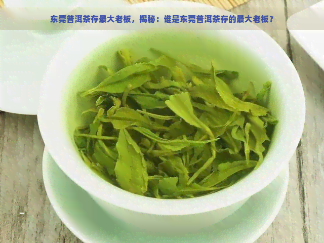 东莞普洱茶存更大老板，揭秘：谁是东莞普洱茶存的更大老板？