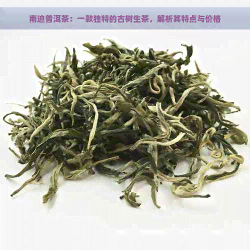 南迫普洱茶：一款独特的古树生茶，解析其特点与价格