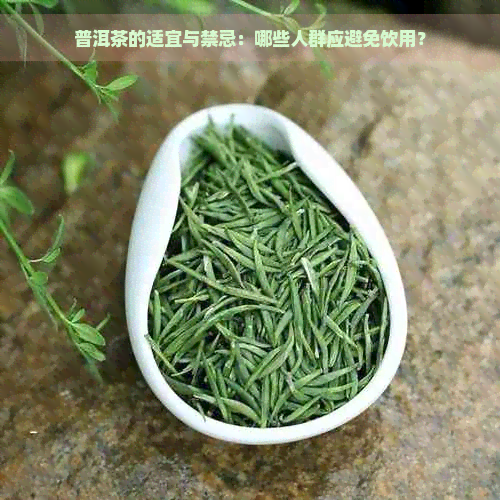 普洱茶的适宜与禁忌：哪些人群应避免饮用？