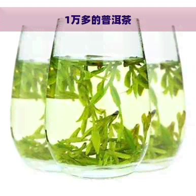 1万多的普洱茶