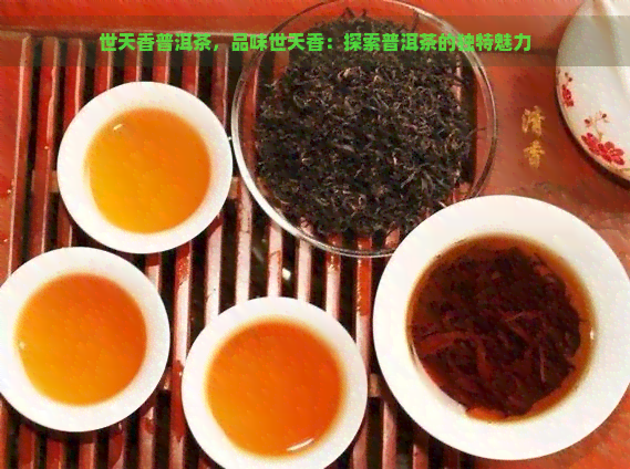 世天香普洱茶，品味世天香：探索普洱茶的独特魅力