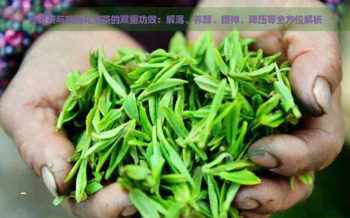 普洱茶与玫瑰花泡茶的双重功效：解渴、养颜、提神、降压等全方位解析