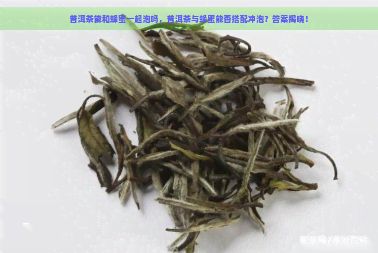 普洱茶能和蜂蜜一起泡吗，普洱茶与蜂蜜能否搭配冲泡？答案揭晓！