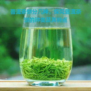 普洱茶饼分几种，探究普洱茶饼的种类及其特点