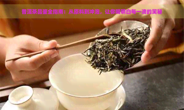 普洱茶品鉴全指南：从原料到冲泡，让你喝明白每一滴的奥秘