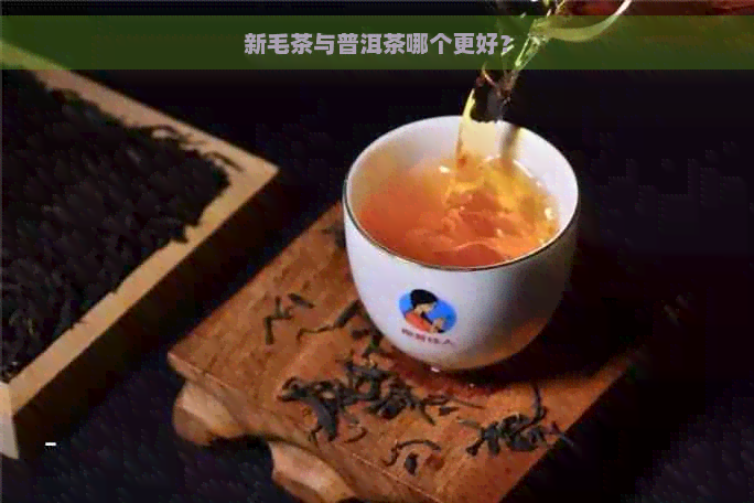 新毛茶与普洱茶哪个更好？