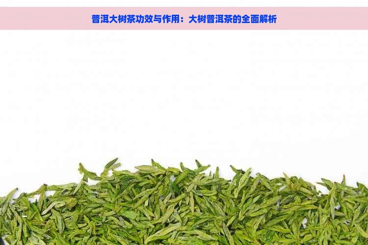 普洱大树茶功效与作用：大树普洱茶的全面解析