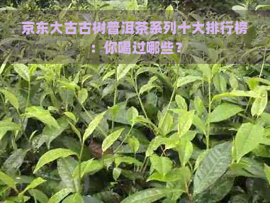 京东大古古树普洱茶系列十大排行榜：你喝过哪些？