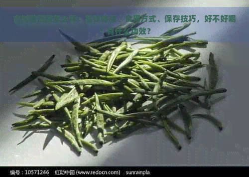 古树普洱茶怎么样：品饮体验、食用方式、保存技巧，好不好喝？有什么功效？