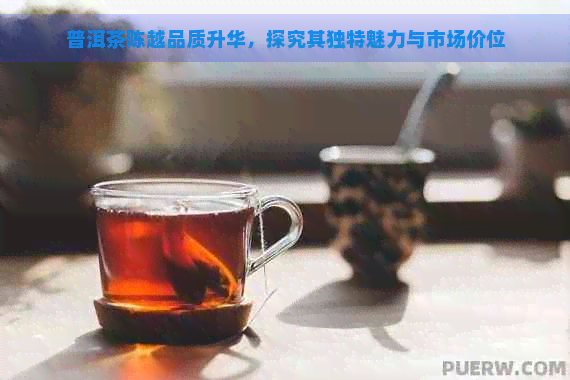 普洱茶陈越品质升华，探究其独特魅力与市场价位