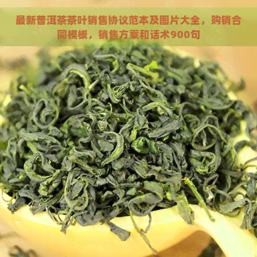 最新普洱茶茶叶销售协议范本及图片大全，购销合同模板，销售方案和话术900句