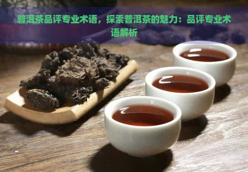 普洱茶品评专业术语，探索普洱茶的魅力：品评专业术语解析