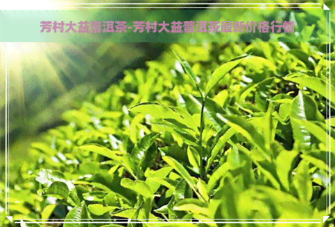 芳村大益普洱茶-芳村大益普洱茶最新价格行情