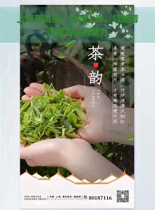 上海普洱茶，品味上海，领略普洱茶的独特魅力