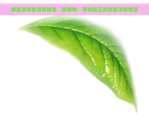 南普洱茶老店有哪些，探秘南：寻找最正宗的普洱茶老店