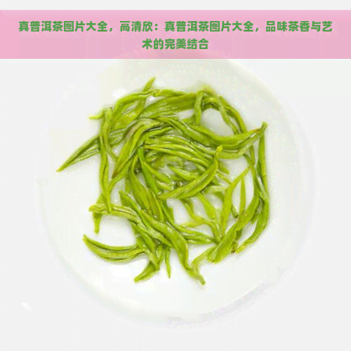 真普洱茶图片大全，高清欣：真普洱茶图片大全，品味茶香与艺术的完美结合