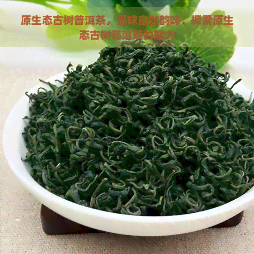 原生态古树普洱茶，品味自然韵味：探索原生态古树普洱茶的魅力