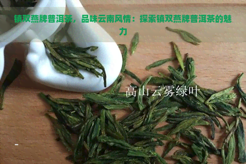 镇双燕牌普洱茶，品味云南风情：探索镇双燕牌普洱茶的魅力