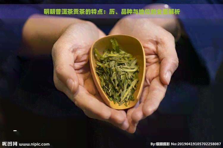 明朝普洱茶贡茶的特点：历、品种与地位的全面解析