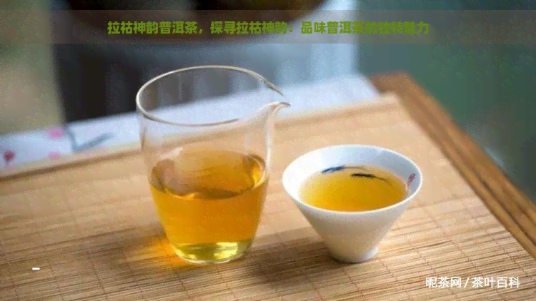 拉祜神韵普洱茶，探寻拉祜神韵：品味普洱茶的独特魅力