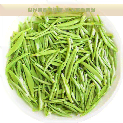 世界茶都普洱茶-世界茶源普洱