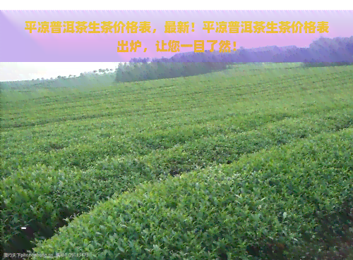 平凉普洱茶生茶价格表，最新！平凉普洱茶生茶价格表出炉，让您一目了然！