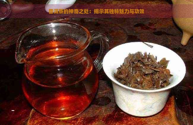 普洱茶的神奇之处：揭示其独特魅力与功效