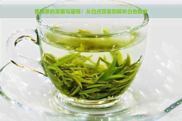 普洱茶的荣耀与困顿：从白点现象到解析白色粉末