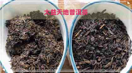 大益天地普洱茶