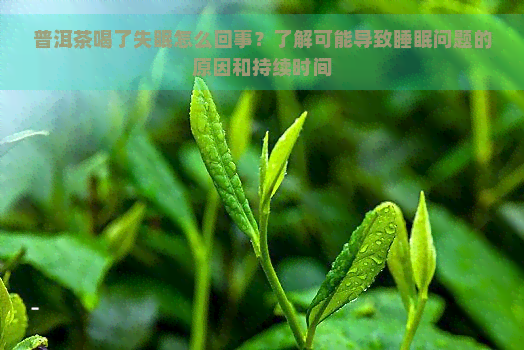 普洱茶喝了失眠怎么回事？了解可能导致睡眠问题的原因和持续时间