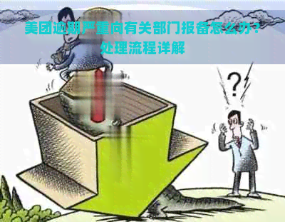 美团逾期严重向有关部门报备怎么办？处理流程详解