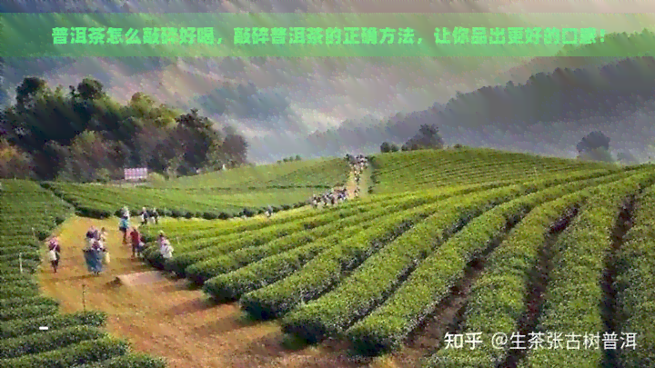 普洱茶怎么敲碎好喝，敲碎普洱茶的正确方法，让你品出更好的口感！