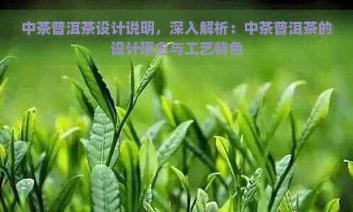 中茶普洱茶设计说明，深入解析：中茶普洱茶的设计理念与工艺特色