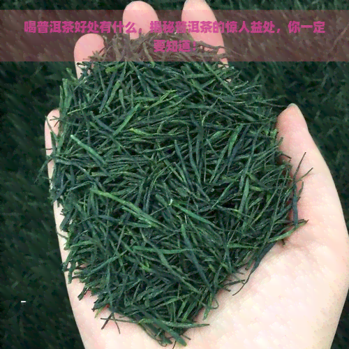 喝普洱茶好处有什么，揭秘普洱茶的惊人益处，你一定要知道！