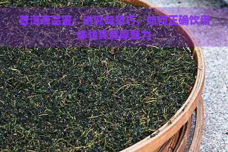 普洱茶品鉴：讲究与技巧，如何正确饮用体验其醇厚魅力