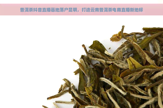 普洱茶抖音直播基地落户昆明，打造云南普洱茶电商直播新地标