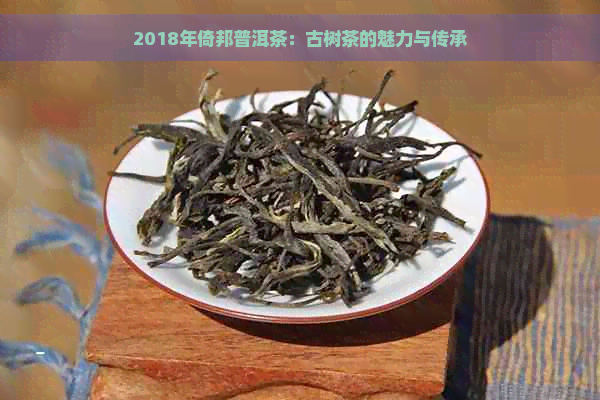 2018年倚邦普洱茶：古树茶的魅力与传承