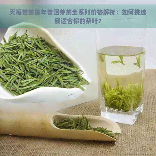 天福茗茶陈年普洱芽茶全系列价格解析：如何挑选最适合你的茶叶？