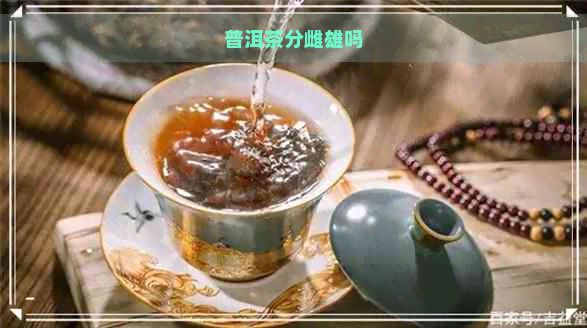 普洱茶分雌雄吗